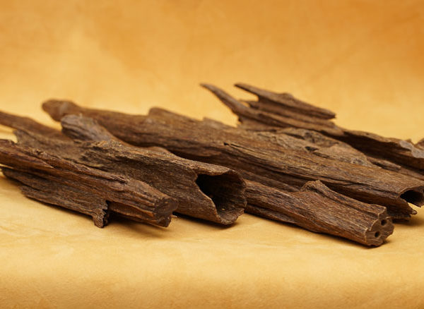 A Brief History of Oud